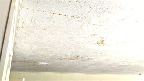 Signs of Ceiling Water Damage