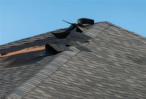 Signs of Roof Damage