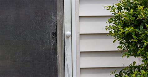 Signs of Screen Door Damage