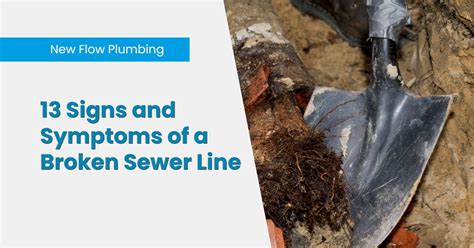 Signs of Sewer Line Damage