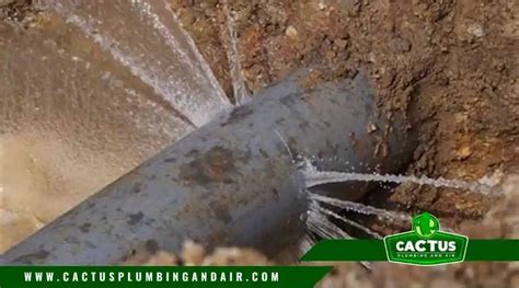 Signs of Sewer Line Damage Sacramento