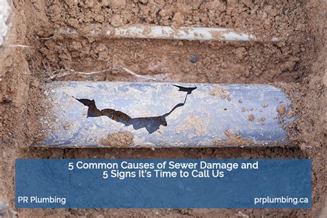 Signs of Sewer Line Damage in Tucson