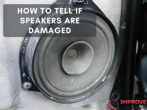 Signs of Speaker Damage