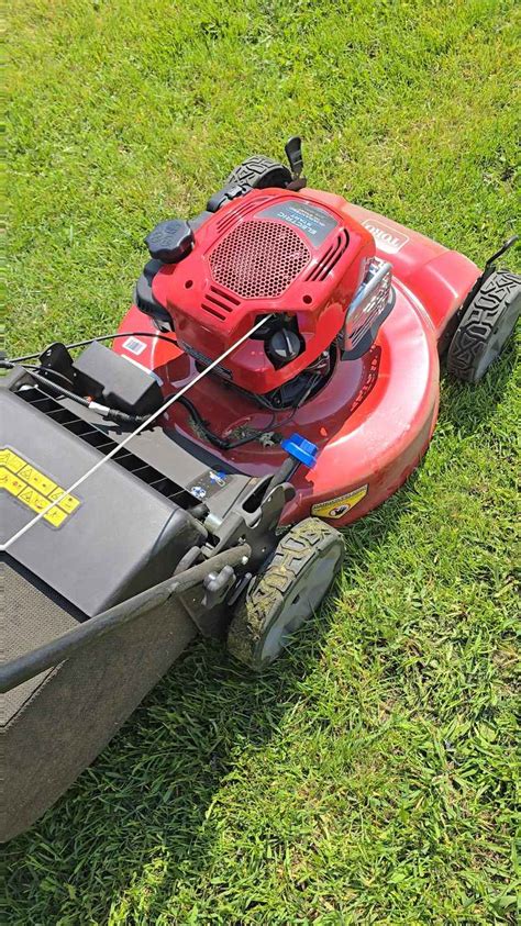 Signs of lawn mower damage