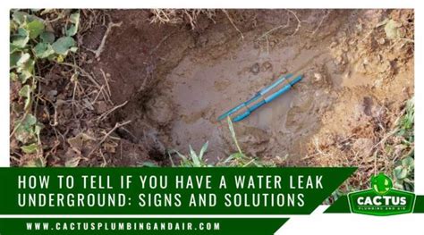 Signs of water leak underground
