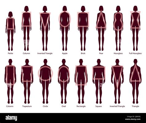 Silhouette and Body Types