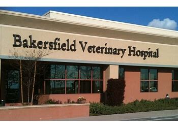 Expert Pet Care at Sillect Care Animal Hospital in Bakersfield CA - Top-rated Veterinary Services for Your Furry Friends