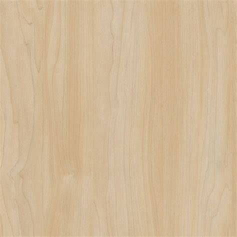 Silver Maple Laminate