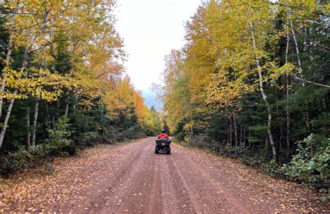 Silver Trails