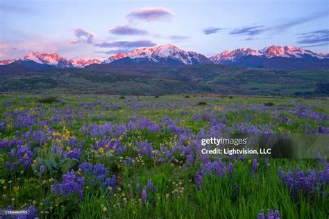 Silverthorne Colorado landscape
