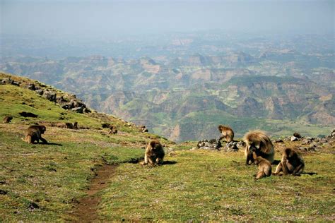 Simien Mountains Descent