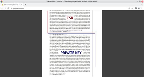 Simpan CSR dan Private Key