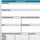 Simple Project Charter Template Excel