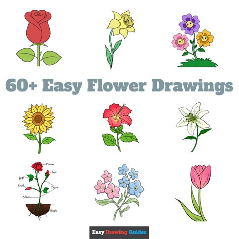 Simple Drawings Of Flowers Step By Step