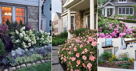 Simple Flower Garden Ideas In Front Of House