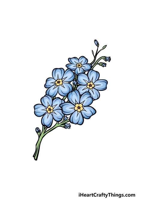 Simple Forget Me Not Drawing