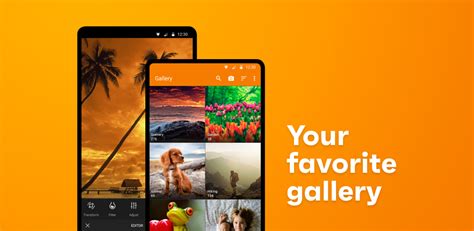 Simple Gallery Pro Apk Gratis