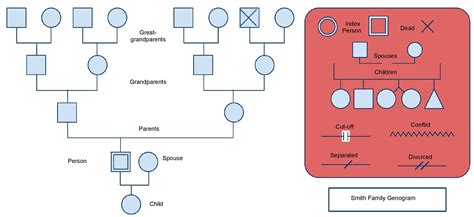 Simple Genogram Example 家系图 Template