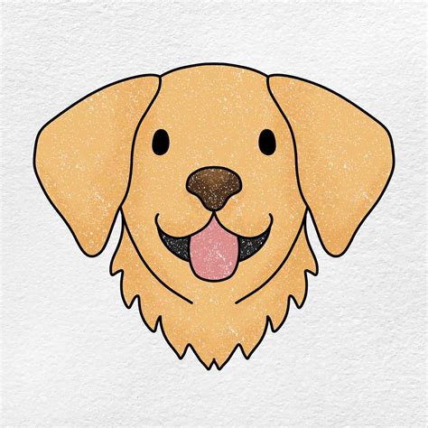 how to draw a golden retriever face 15seatervanrental