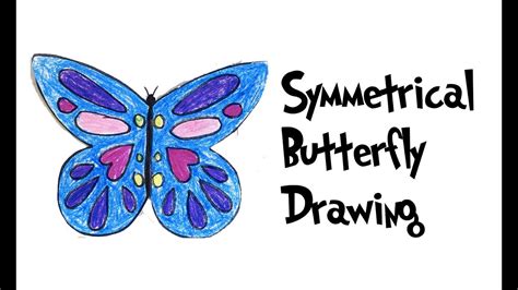 Simple Symmetrical Butterfly Drawing