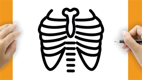 Simple X-ray drawing tutorial