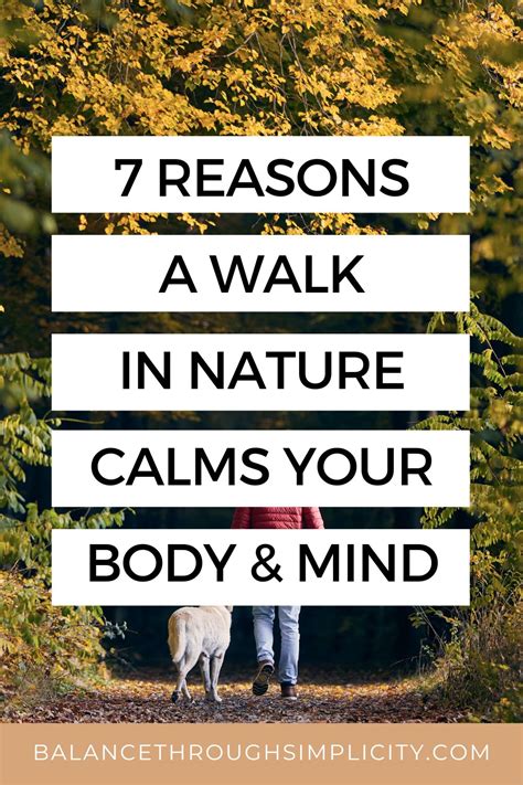 Simplicity Calms the Mind