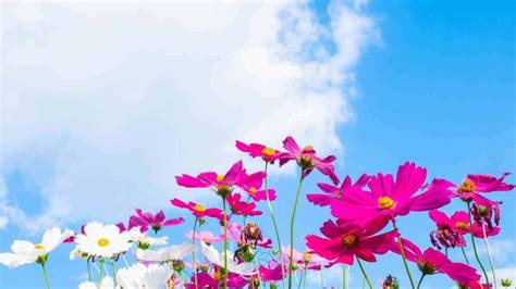 Simplicity Promotes Mindfulness