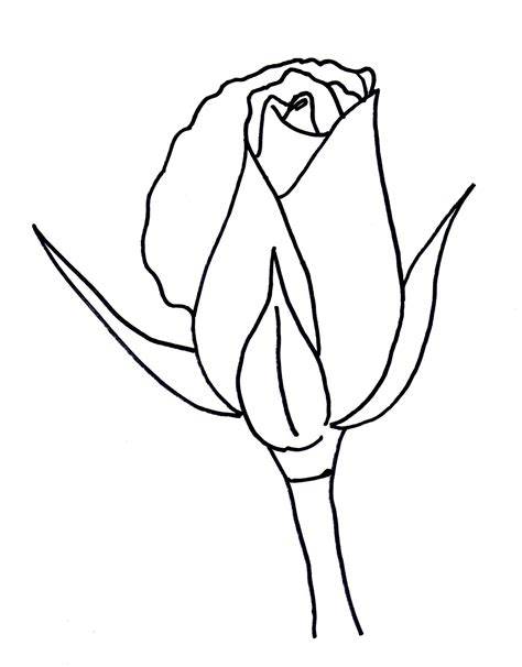 Simplified Rose Bud Drawing Tutorial
