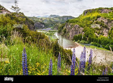 Simpson River Valley