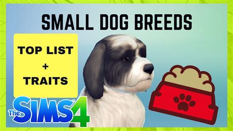 Sims 4 Small Dog Breeds