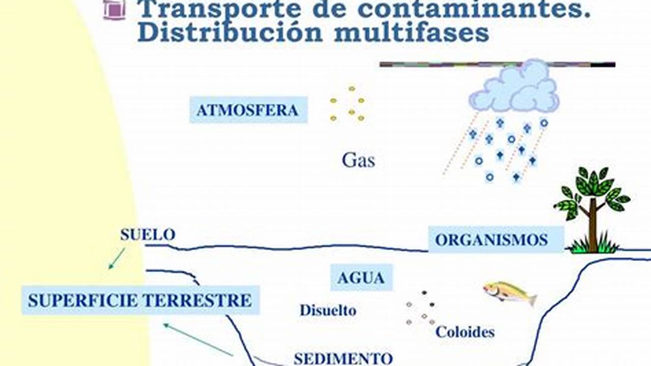 Simulan El Transporte Y Transformación De Contaminantes., MX Modelo