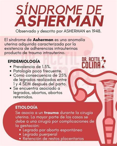 Síndrome de Asherman causas, síntomas y diagnóstico