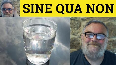 The Unavoidable Essence: A Definition and Understanding of Sine Qua Non