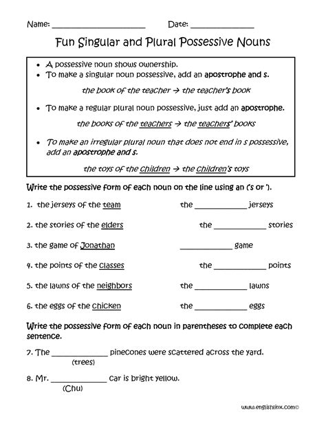 Singular Plural Possessive Nouns Worksheet