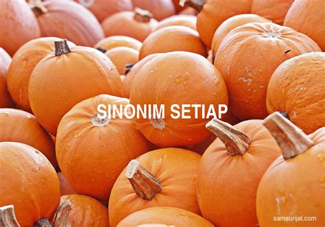 Sinonim Setiap