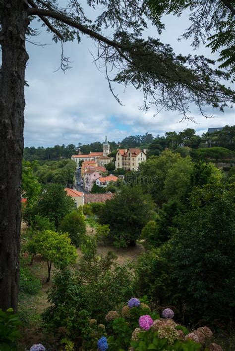 Sintra Landscapes
