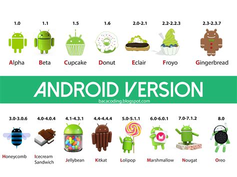 Sistem Operasi Android 12 dengan Antarmuka yang Intuitif