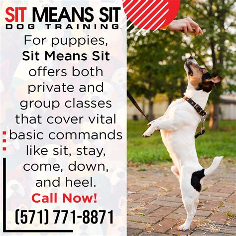 Sit Means Sit Dog Training Locations