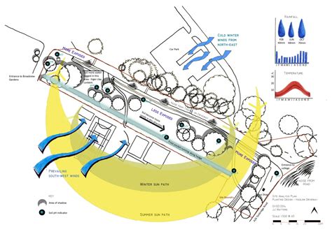 Analysis Plan