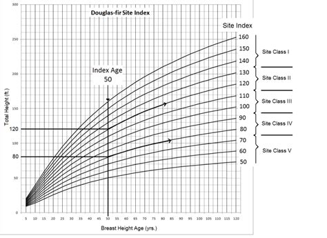 Site Index Calculator