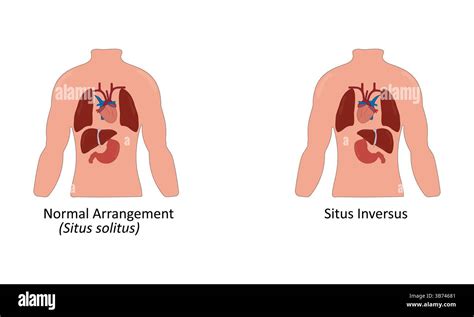 Temukan Keseruan Bermain di Situs Hebat Ini yang Siap Menggebrak Dunia Digital!
