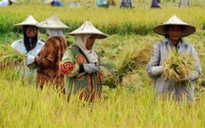 Situs Pertanian Terkemuka Di Indonesia