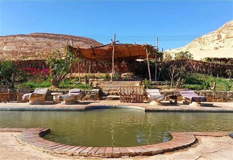 Siwa Oasis Camp accommodation