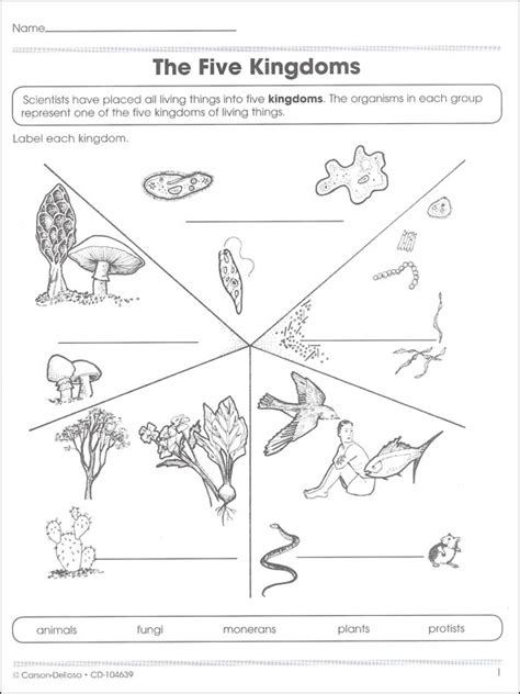 Six Kingdoms Coloring Worksheet Quizlet