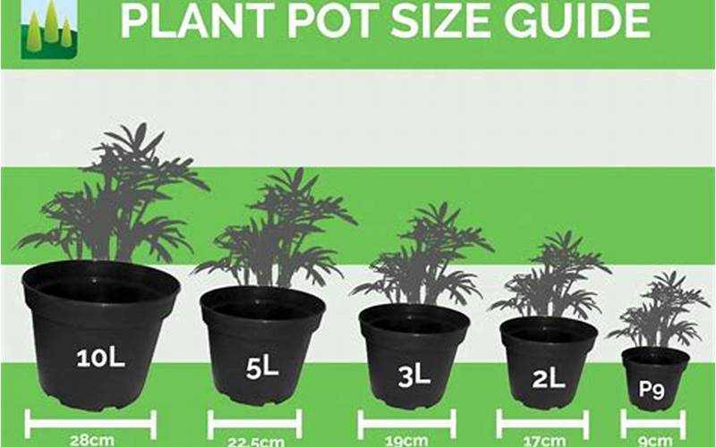 Size Of Indoor Plant Pots