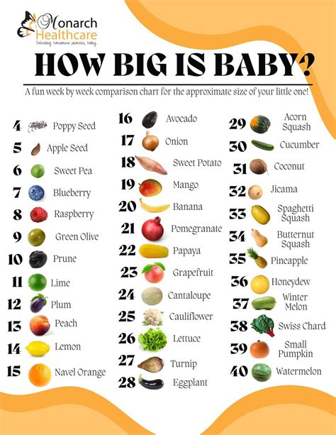 Size Chart Pregnancy