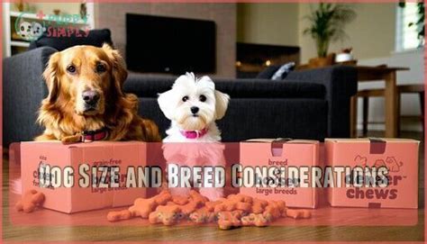 Size and Breed Considerations