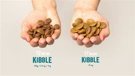 Size and Kibble Shape Matters