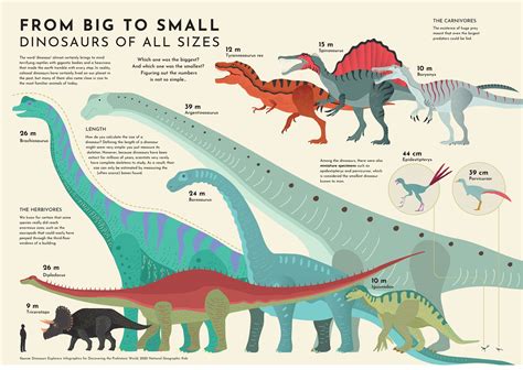 The Importance of Size