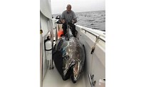 Size of Tuna Fishing Boat